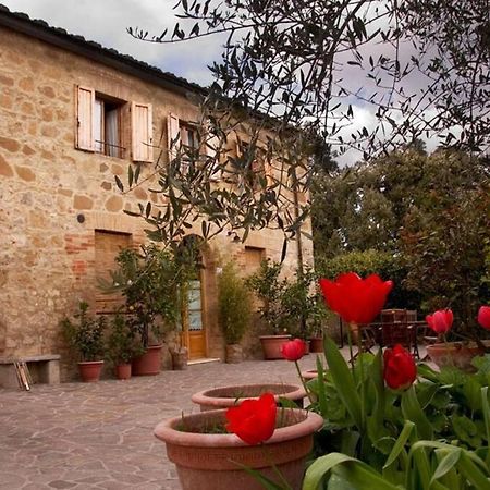 La Vigna Agriturismo Villa Siena Bagian luar foto