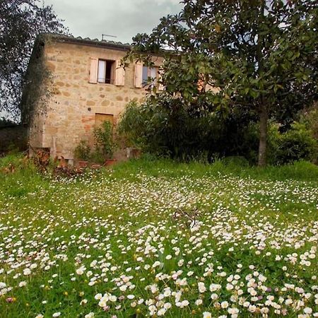 La Vigna Agriturismo Villa Siena Bagian luar foto