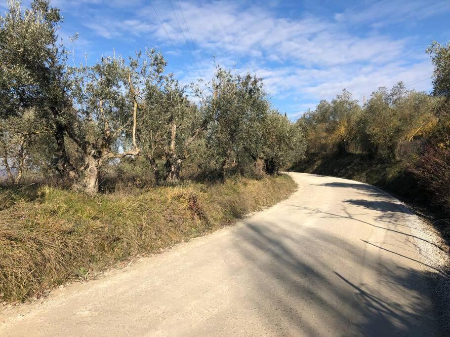 La Vigna Agriturismo Villa Siena Bagian luar foto