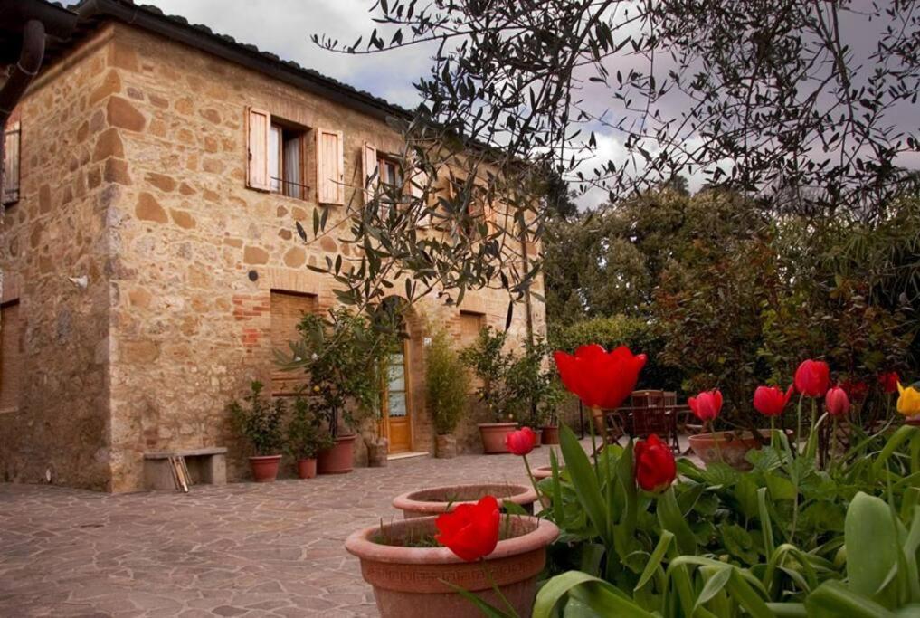 La Vigna Agriturismo Villa Siena Bagian luar foto