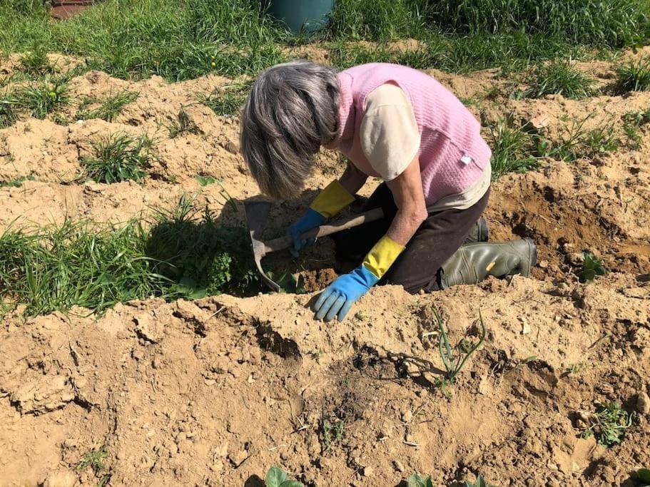 La Vigna Agriturismo Villa Siena Bagian luar foto