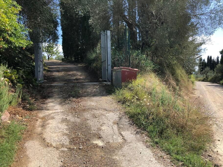 La Vigna Agriturismo Villa Siena Bagian luar foto
