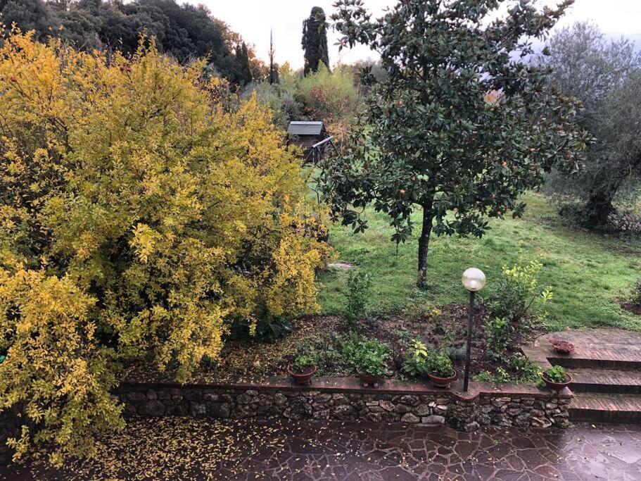 La Vigna Agriturismo Villa Siena Bagian luar foto