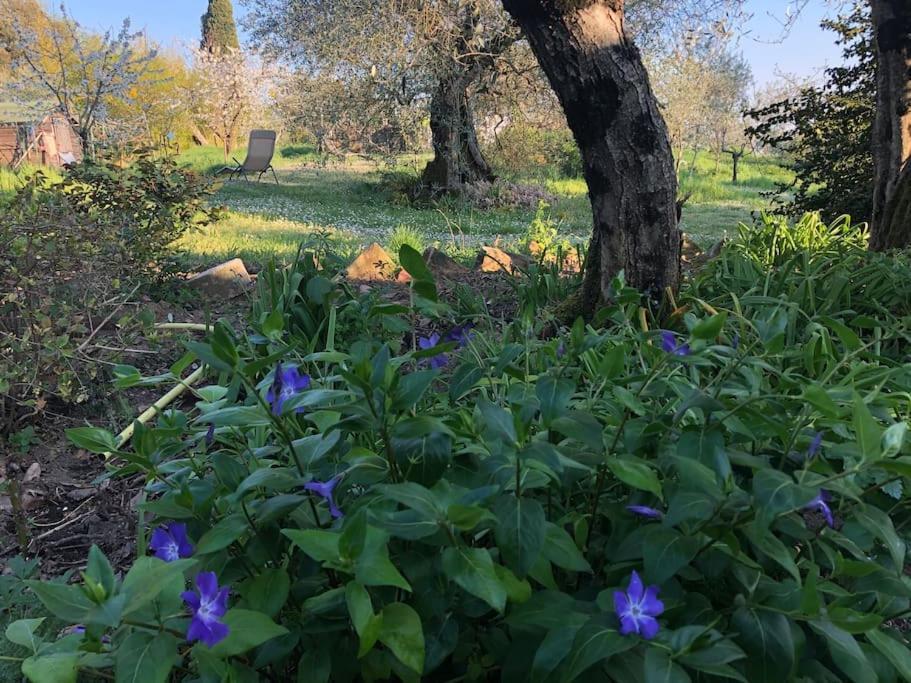 La Vigna Agriturismo Villa Siena Bagian luar foto