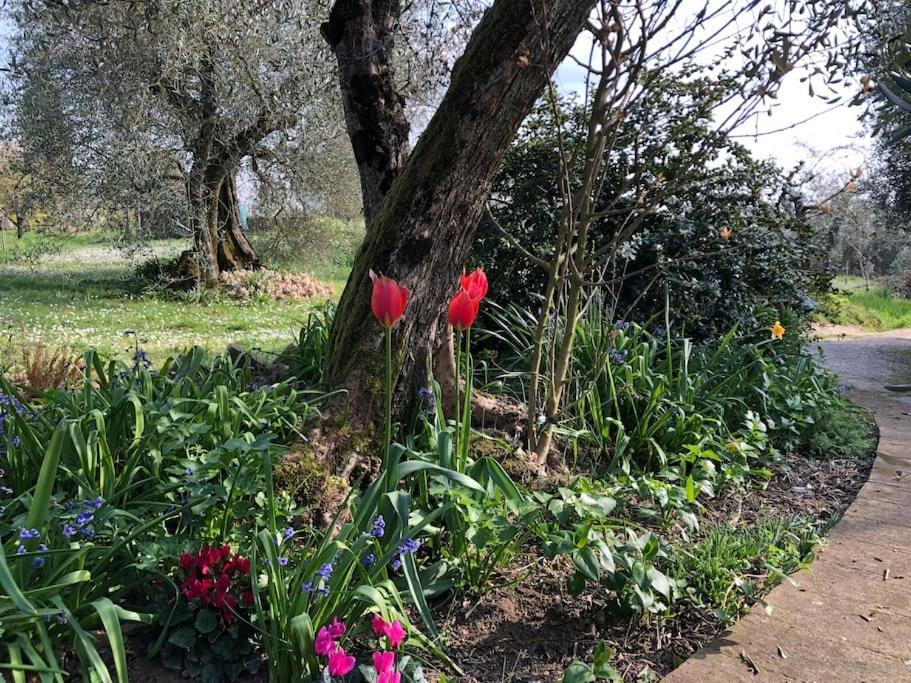 La Vigna Agriturismo Villa Siena Bagian luar foto