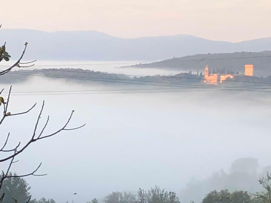 La Vigna Agriturismo Villa Siena Bagian luar foto
