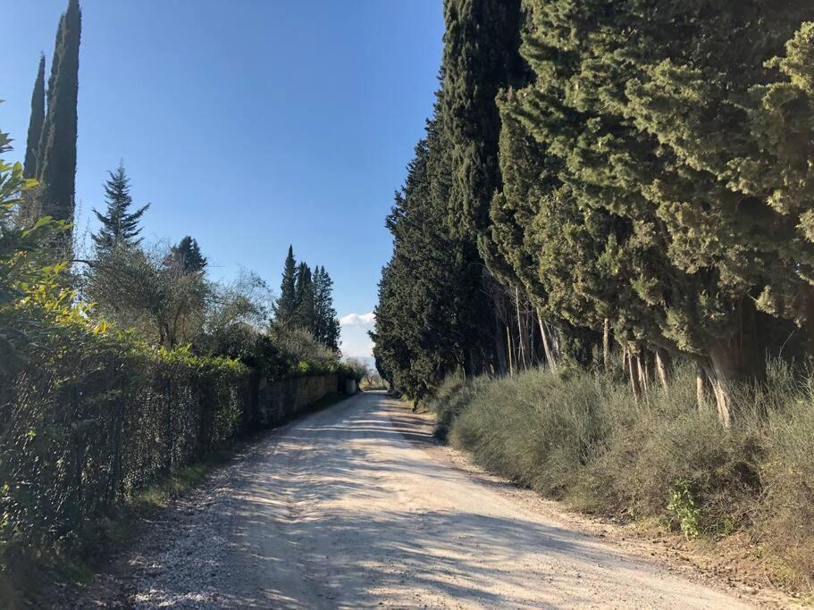 La Vigna Agriturismo Villa Siena Bagian luar foto