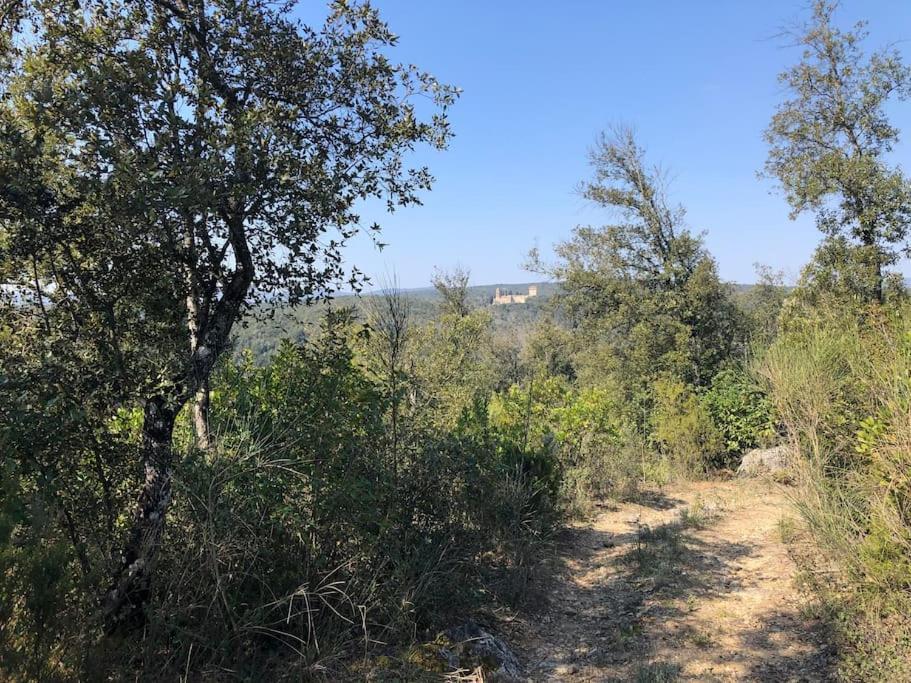 La Vigna Agriturismo Villa Siena Bagian luar foto