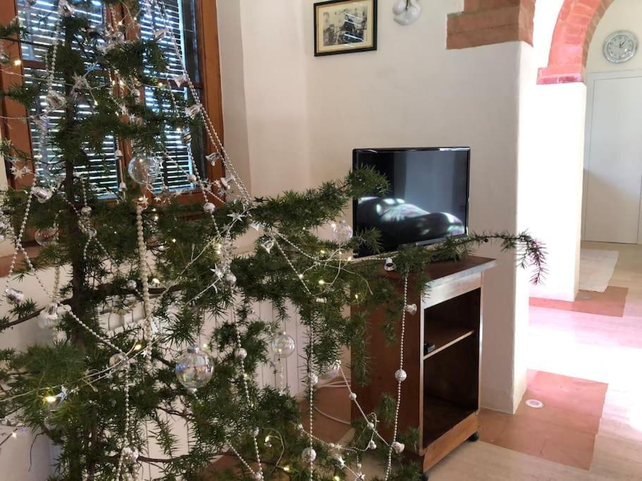 La Vigna Agriturismo Villa Siena Bagian luar foto