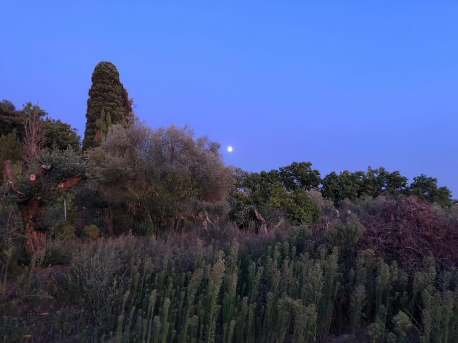 La Vigna Agriturismo Villa Siena Bagian luar foto