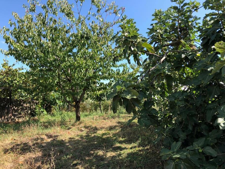 La Vigna Agriturismo Villa Siena Bagian luar foto