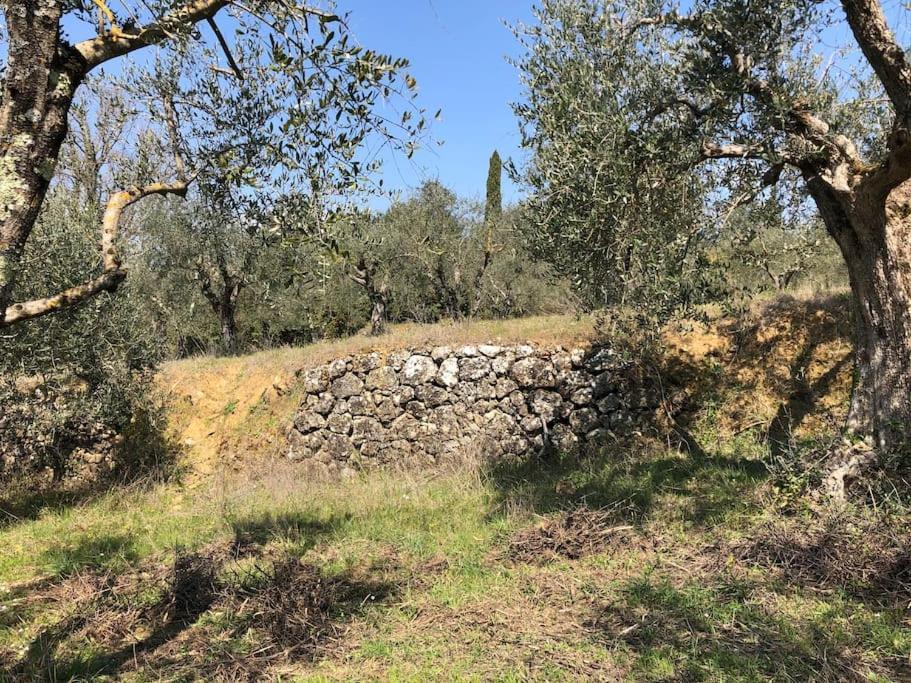La Vigna Agriturismo Villa Siena Bagian luar foto