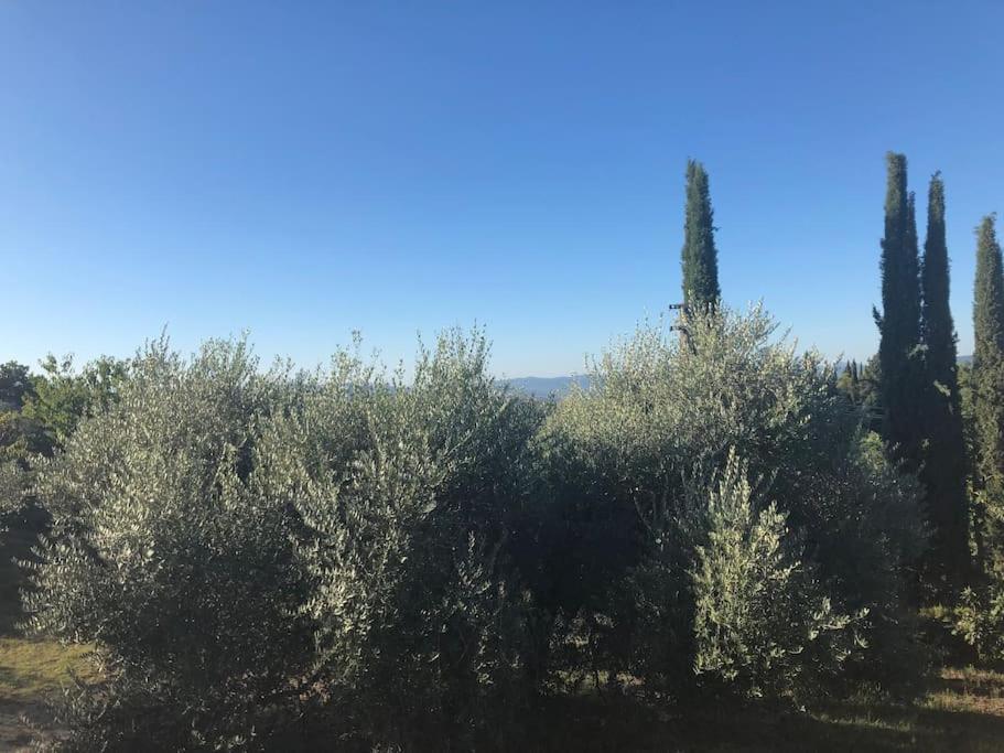 La Vigna Agriturismo Villa Siena Bagian luar foto