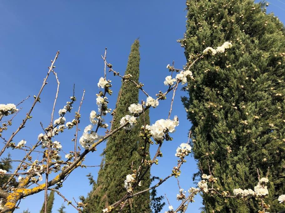 La Vigna Agriturismo Villa Siena Bagian luar foto